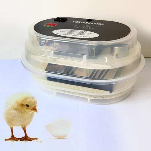 Digital 12 Eggs Incubator Poultry Turner Thermometer Kit Semi Automatic