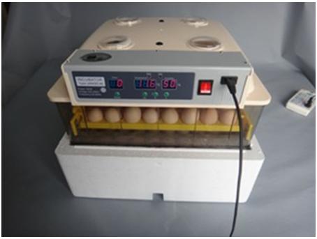 Cheapest CE Approved Fully 96 Eggs Incubator mini small egg incubator on Big Sale