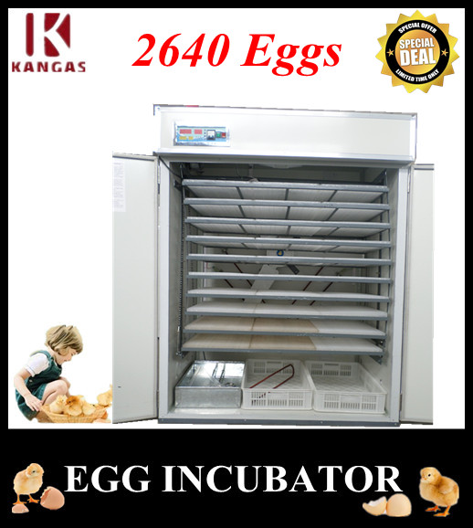 Chicken Egg Incubator
