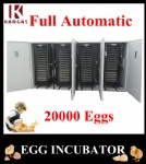 Holding 22528 eggs automatic egg incubator
