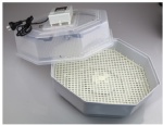 Digital 60 Eggs Incubator Clear Top Turbo Fan Adjustable Temperature Turn