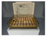 Small Eggs Incubator Hatching Machine Automatic 96 Eggs Incubator